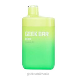 Geek Bar b5000 de unică folosință gheață de guava 4Z2B29 Geek Bar Kit