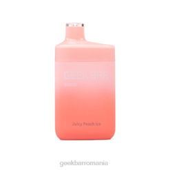 Geek Bar b5000 de unică folosință gheață suculentă de piersici 4Z2B30 Geek Bar Vape For Sale