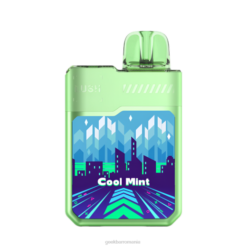 Geek Bar digiflavor luxuriant vape de unică folosință menta rece 4Z2B73 Geek Bar Vape Shop